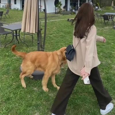 双珠凤